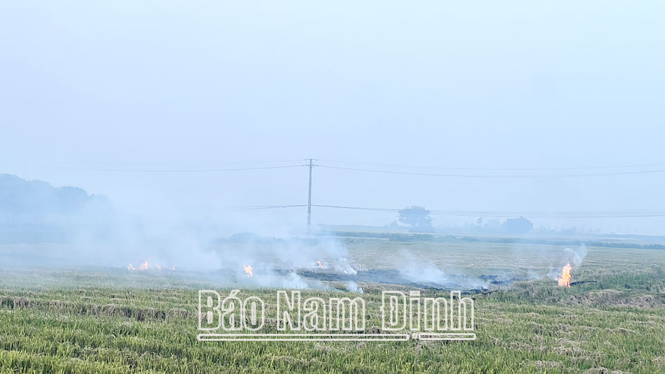 Khói đốt rơm rạ mù mịt cánh đồng xã Nam Cường
