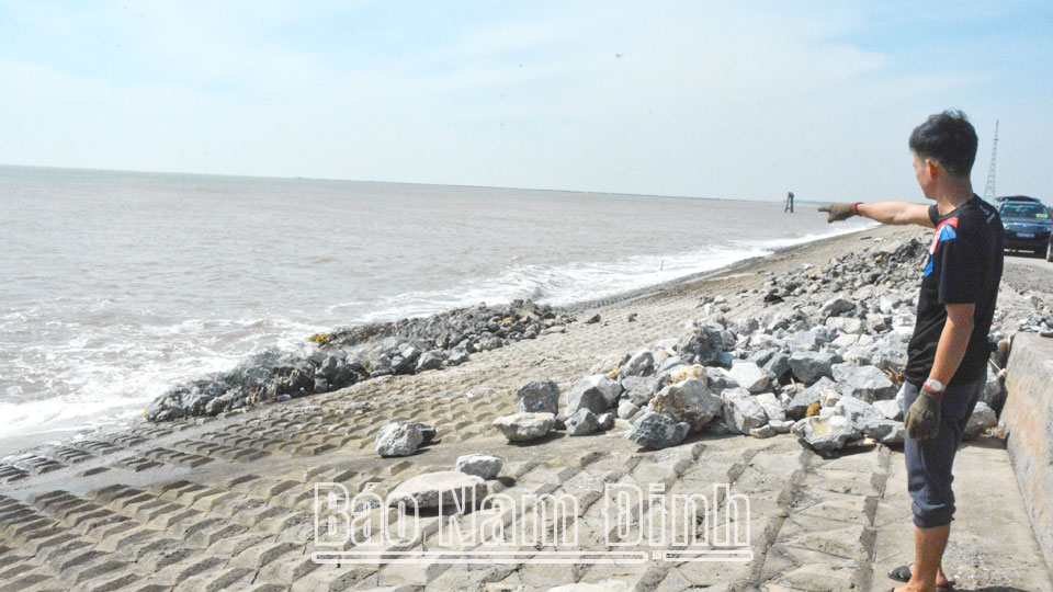 Hải Hậu quyết tâm bảo đảm an toànhệ thống đê biển