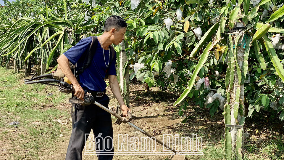 Sắp xếp lại, xử lý nhà, đấtđể tránh lãng phí tài sản công