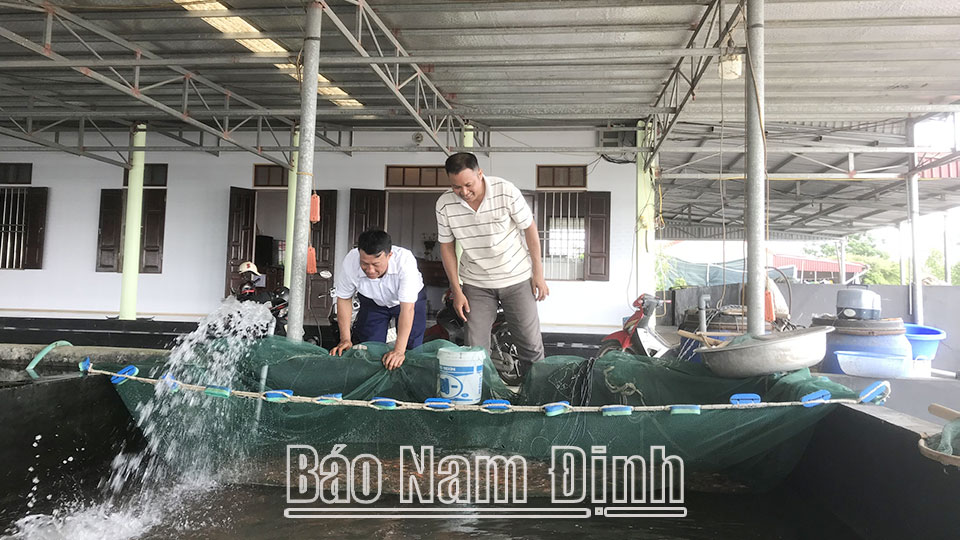 Nông dân Vụ Bảnthi đua sản xuất, kinh doanh giỏi