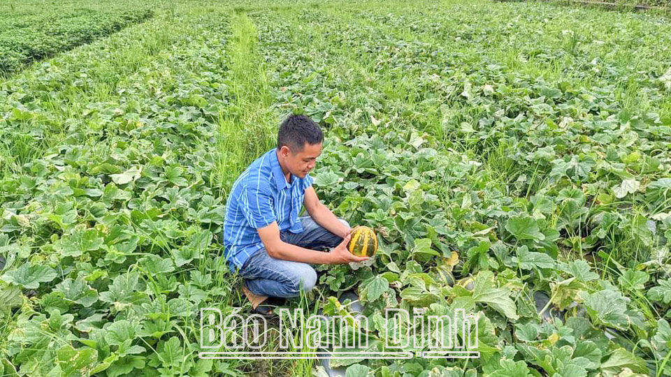 Nâng cao tính thực tiễncủa khoa học và công nghệ