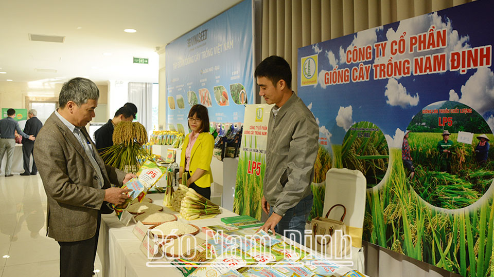 Phát triển chuỗi liên kết vì sự bền vững của nền nông nghiệp hàng hóa - Kỳ III: Đồng hành, tháo gỡ khó khăn thúc đẩy các chuỗi liên kết phát triển