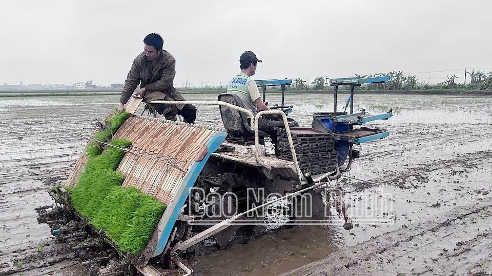 Gia tăng việc ứng dụng tiến bộ kỹ thuật trong sản xuất nông nghiệp