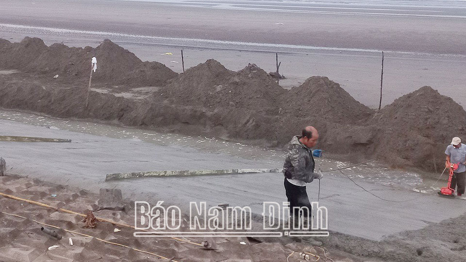 Hải Hậu củng cố hệ thống đê điềusẵn sàng ứng phó với thiên tai