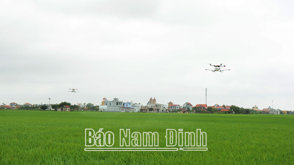 Nhân rộng phương thức sử dụng thiết bị baytrong chăm sóc, bảo vệ lúa