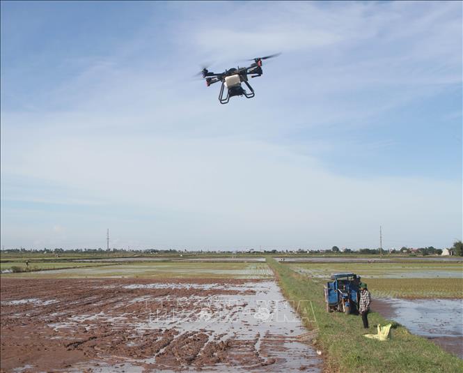 Ninh Bình: Xây dựng chuỗi cơ giới hóa trong sản xuất lúa