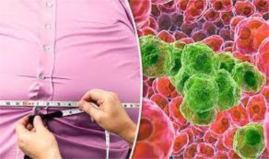 Những hệ lụy với sức khỏe khi cơ thể thừa hoặc thiếu cân