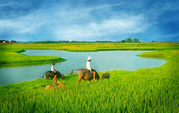 Chảy đi sông ơi