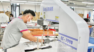 Ước tính GRDP năm 2023 của tỉnh đạt tốc độ phát triển 109,48%