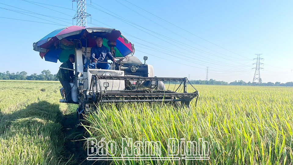 Tiếp nốinhững vụ xuân thắng lợi