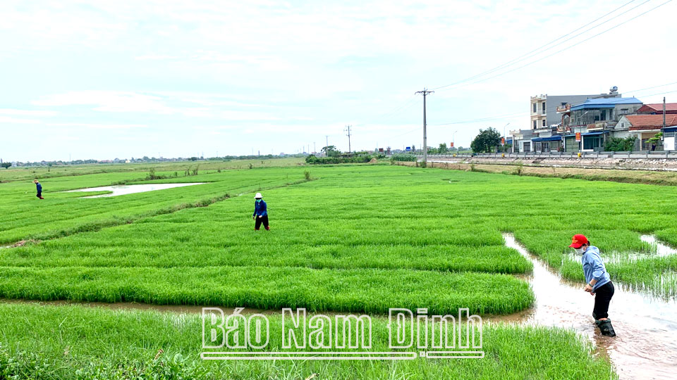 Đồng hành cùng nông dântrong phát triển nông nghiệp bền vững