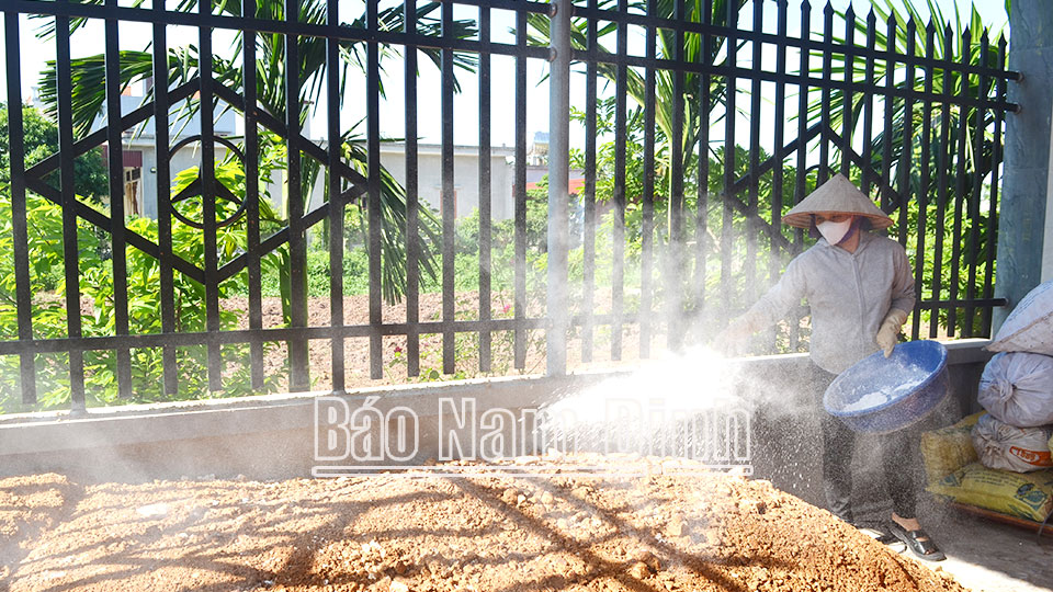 Hải Phú tập trung phát triểnnông nghiệp xanh bền vững