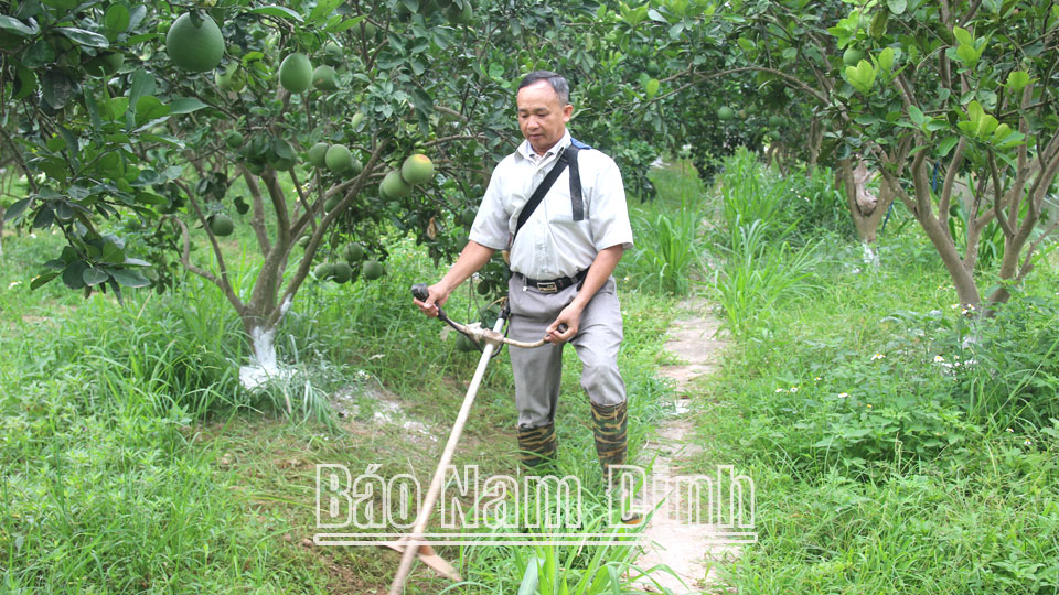 Nông dân Ý Yênthi đua sản xuất, kinh doanh giỏi