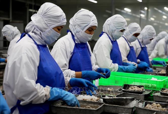 Số lượng doanh nghiệp thành lập mớităng 4,3% so với cùng kỳ năm ngoái