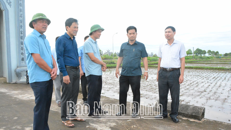 Đồng chí Phó Chủ tịch Thường trực UBND tỉnh kiểm tratình hình phòng, chống úng và khắc phục thiệt hại sản xuất vụ mùa
