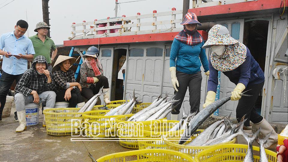 Thực hiện các biện pháp mạnh chống khai thác IUU