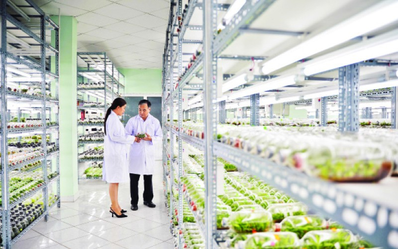 TP Hồ Chí Minh: Hướng đến nền nông nghiệp hiện đại