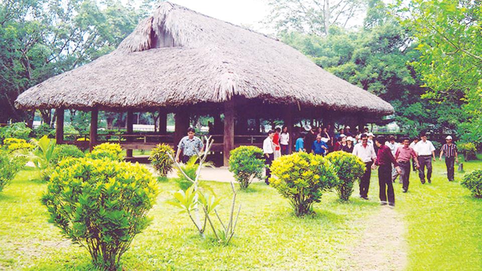 Tổ chức Tết Độc lập gắn với Lễ hội Tân Trào năm 2023