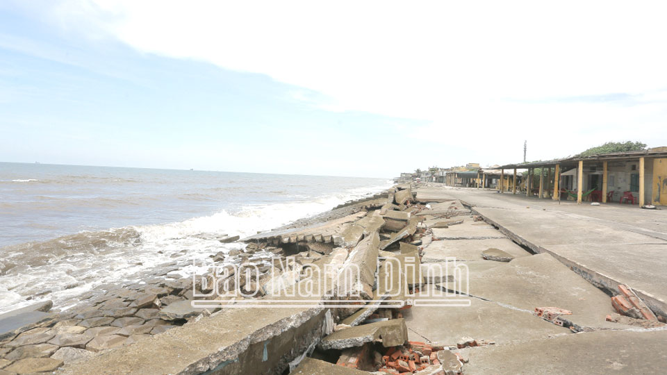 Dự kiến đầu tư 500 tỷ đồng xử lý sạt lở đê biển Cồn Tròn và Hải Thịnh (Hải Hậu)