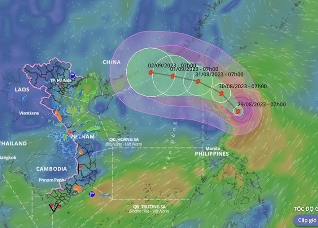Chủ động ứng phó với bão SAOLA