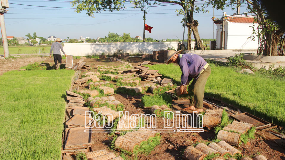 Trực Ninh nhân rộng điển hìnhnông dân làm kinh tế giỏi