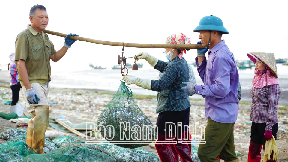 Giải pháp khắc phục khó khăn, nâng cao hiệu quả khai thác thủy sản