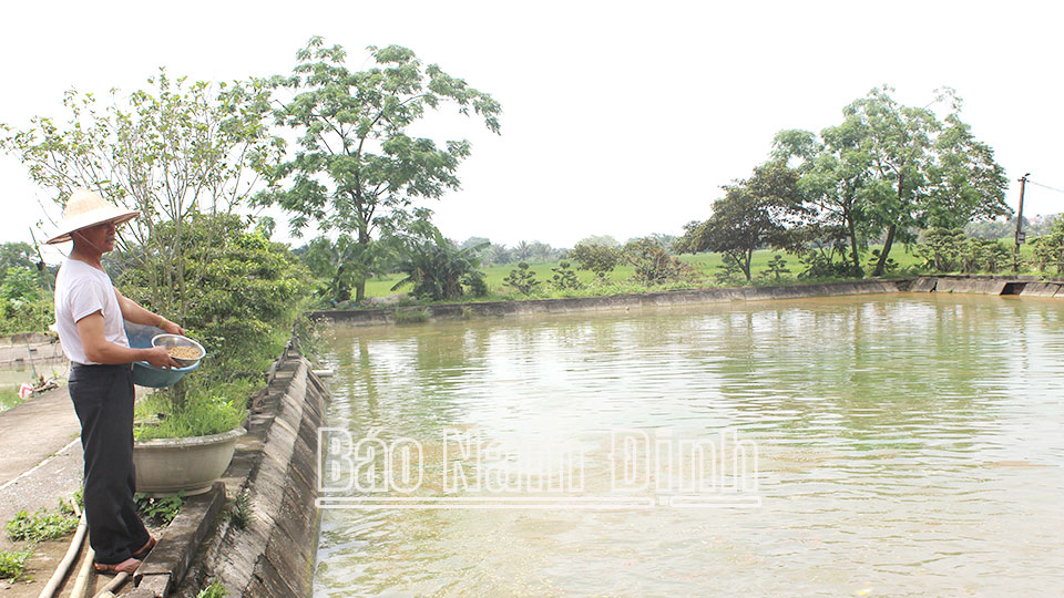 Hội viên nông dân tích cực tham giaxây dựng nông thôn mới nâng cao, kiểu mẫu