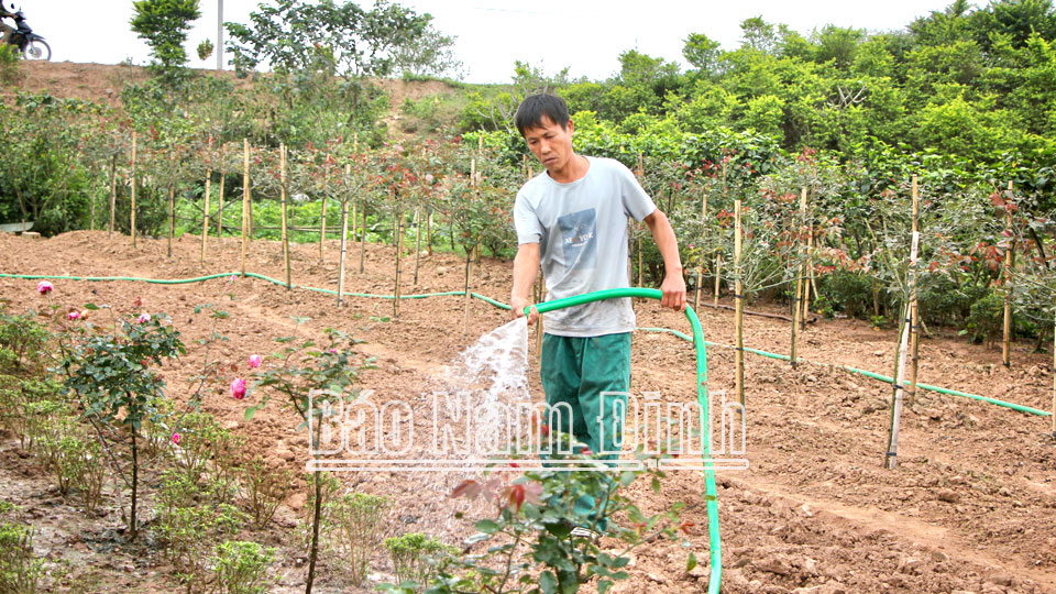 Nam Trực tập trung quản lý, sử dụng hiệu quả quỹ đất công