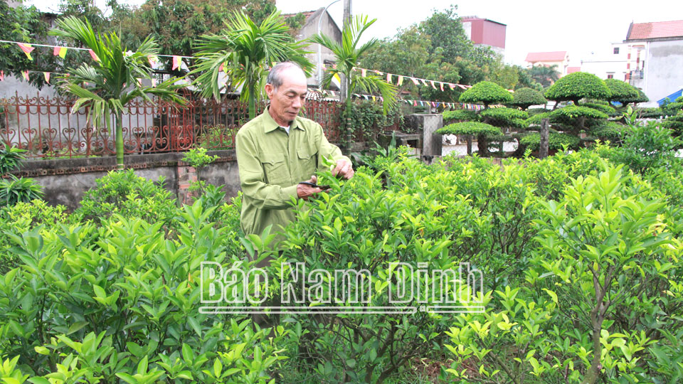 Hội Nạn nhân chất độc da cam Nghĩa Hưngđồng hành cùng hội viên