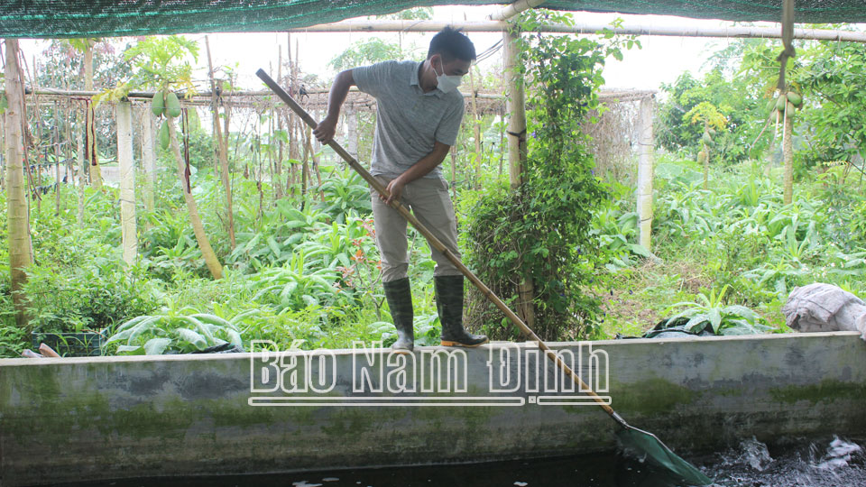 Những điển hình nông dân làm kinh tế giỏi ở Mỹ Lộc