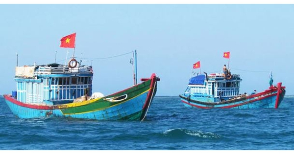 Khai thác, mua bán, vận chuyển thủy sản trái phép có thể bị phạt tù cao nhất đến 15 năm