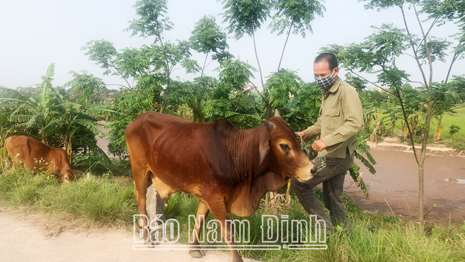 Hội Người mù Xuân Trường quan tâm nâng cao đời sống hội viên