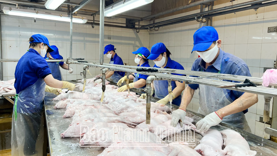 Hỗ trợ xây dựng, áp dụng hệ thốngtruy xuất nguồn gốc sản phẩm, hàng hóa