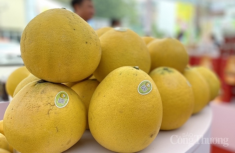 Hội chợ triển lãm nông nghiệp quốc tế lần thứ 23