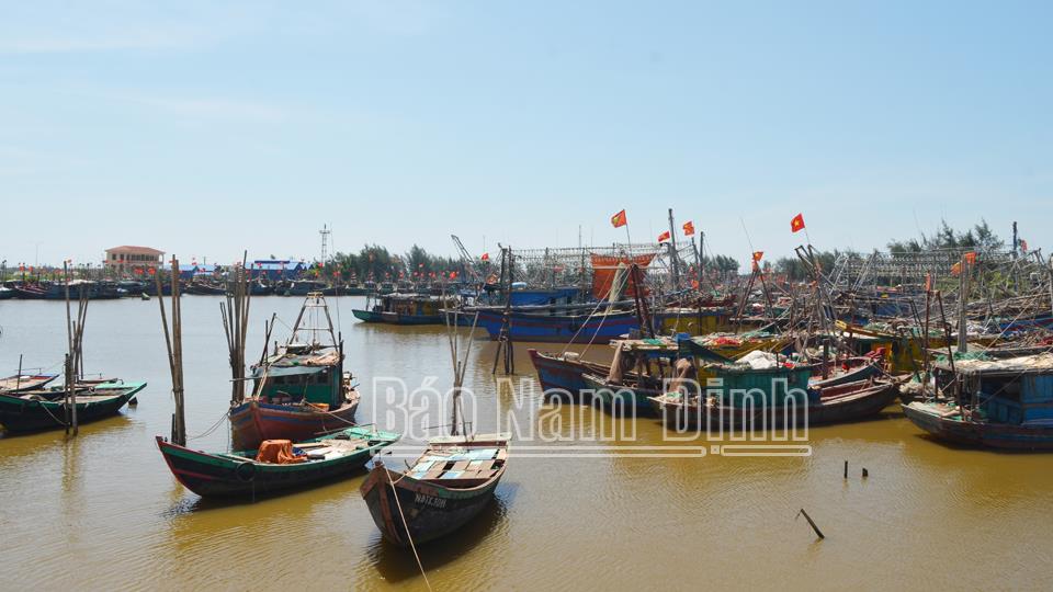 Quyết tâm xử lý dứt điểm vi phạm về khai thác hải sản bất hợp pháp