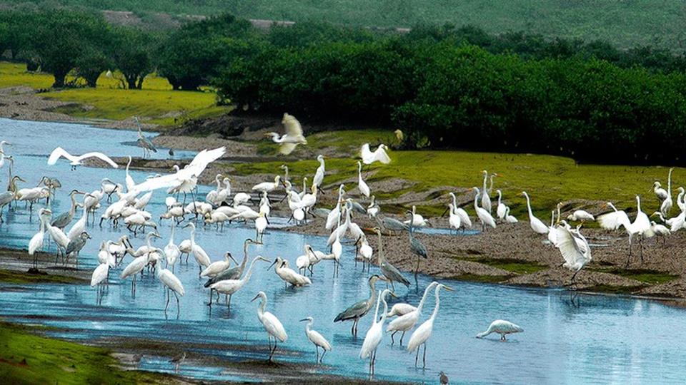 Xây dựng hồ sơ đề cử Vườn Quốc gia Xuân Thủy trở thành Vườn Di sản ASEAN