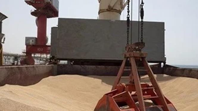 Slovakia và Ukraine lập hệ thống cấp phép cho việc mua bán ngũ cốc