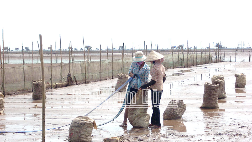 Thực hiện hiệu quả các nhiệm vụkhoa học và công nghệ