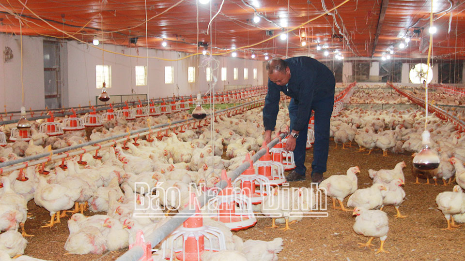 Nông dân xã Hải Đôngthi đua sản xuất, kinh doanh giỏi