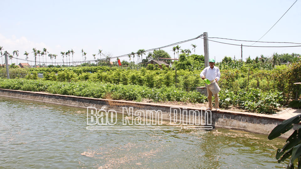 Học tập và làm theo tư tưởng, đạo đức, phong cách Hồ Chí Minh: Đảng bộ xã Hải Châuhọc và làm theo Bác