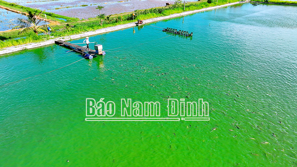 Chào mừng Đại hội đại biểu Hội Nông dân tỉnh lần thứ XI, nhiệm kỳ 2023-2028: Phát huy vai trò chủ thể của nông dân trong phát triển kinh tế nông nghiệp, nông thôn