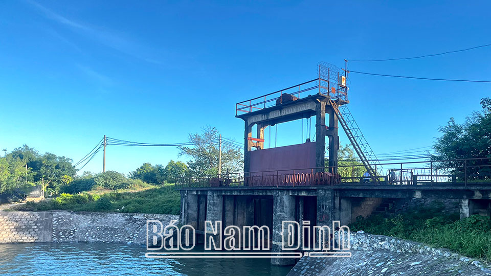 Thống nhất chủ trương đầu tư Dự án nâng cấp hệ thống thủy lợi tỉnh Nam Định thích ứng biến đổi khí hậu