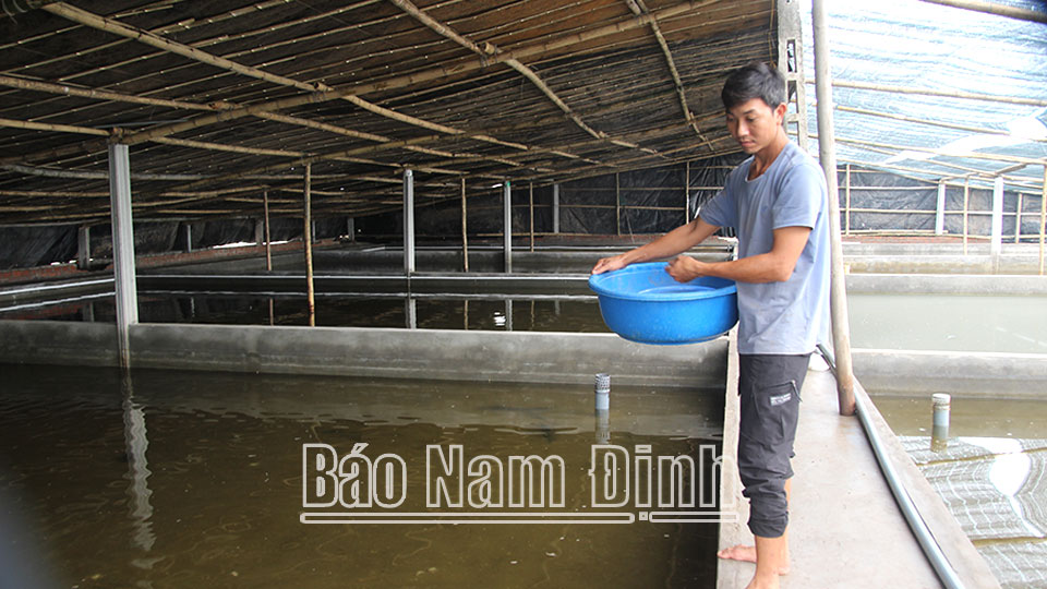 Phát triển chuỗi liên kết sản xuấttại các hợp tác xã