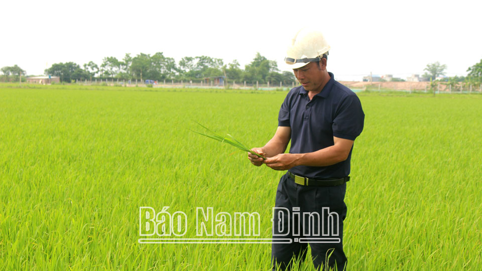 Đồng bào Công giáo tham gia phát triểnkinh tế tập thể, hợp tác xã