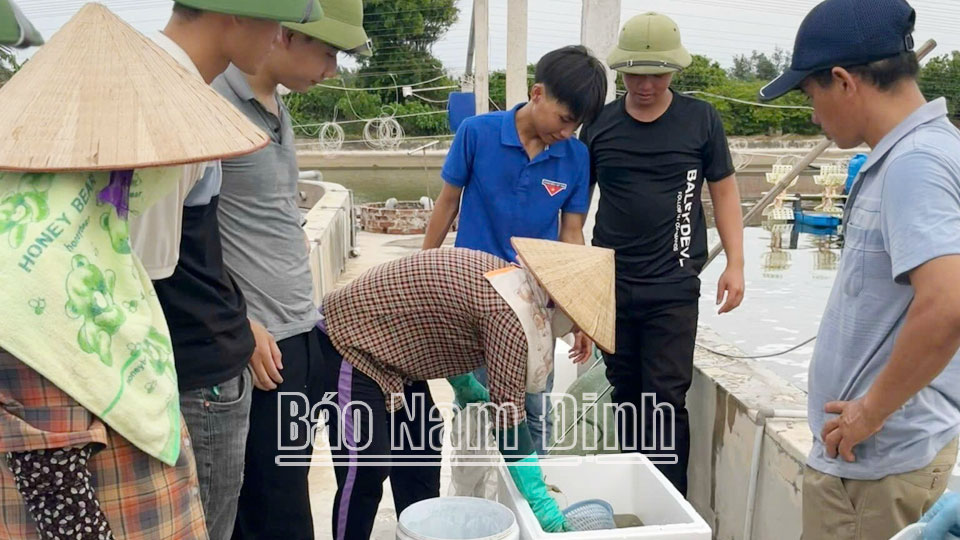 Năng độngphát triển kinh tế