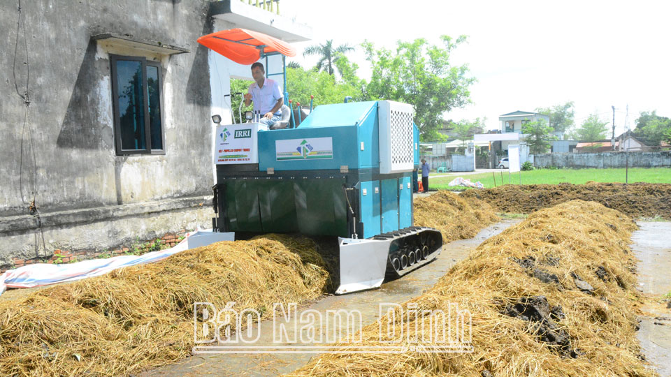 Đổi mới ngành trồng trọt thích ứng với biến đổi khí hậu