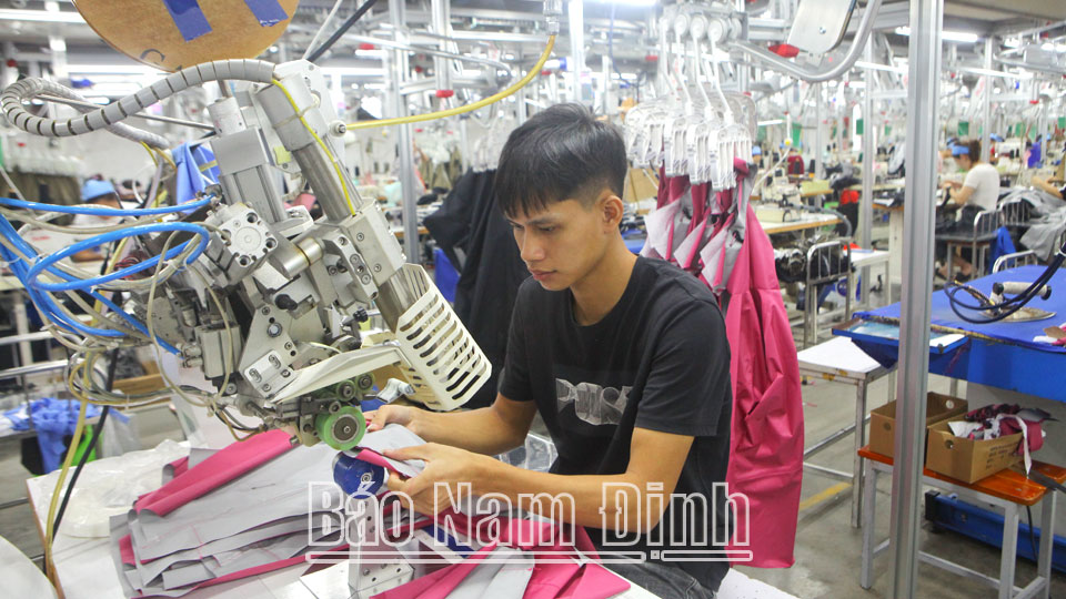 Ý Yên khẩn trương ổn định và khôi phục sản xuất, đời sống sau bão lũ