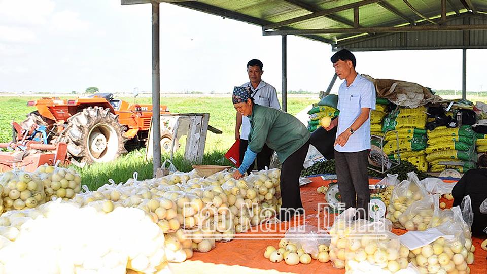 Tác phẩm tham dự giải báo chí búa liềm vàng lần thứ VIII-2023: "Lấy dân làm gốc" trong xây dựng nông thôn mới kiểu mẫu ở xã Giao Tiến