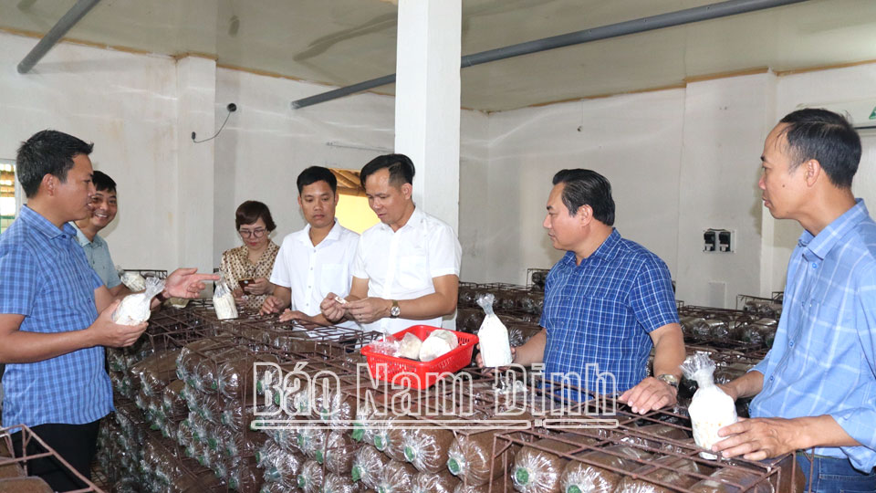 Hỗ trợ kinh tế tập thể,hợp tác xã phát triển