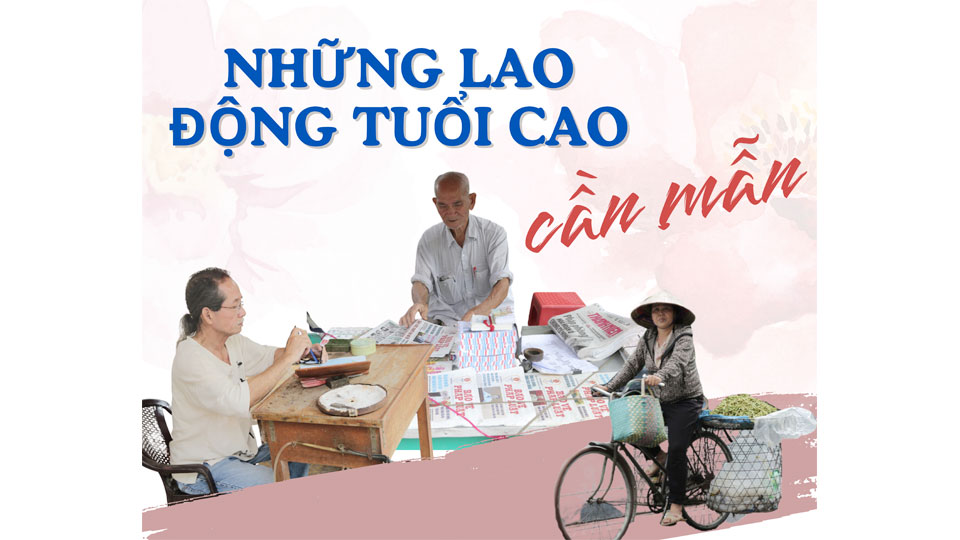 Những lao động tuổi cao cần mẫn